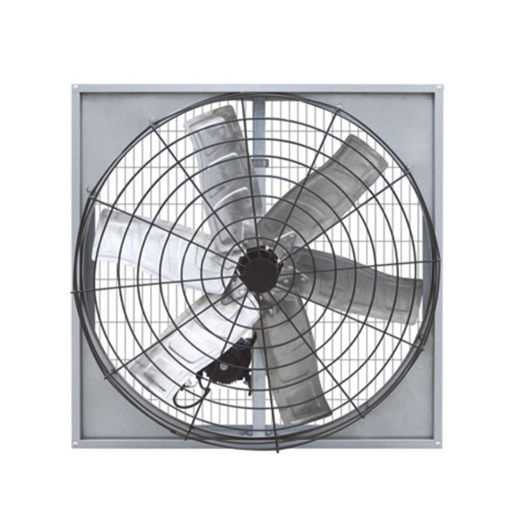 ¿Cómo elegir un ventilador de correa eficiente para vacas para las necesidades de ventilación industrial y ganadera?